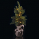 LED vánoční stromek, 52cm, 2× AA, vnitřní, teplá bílá