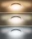 LED stropní světlo Plain, 3CCT, 24W, 1920lm, 3000K, 4000K, 6000K, kulaté, 38cm