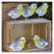 LED ptáčci, 11 cm, venkovní i vnitřní, studená bílá