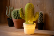 CACTUS Green stolní lampa