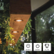 LED žárovka Classic MR16 / GU10 / 3 W (32 W) / 345 lm / teplá bílá set 3ks