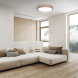 LED osvětlení s dálkový ovladačem Iron Oak, 60W, 4200lm, 51cm, změna chromatičnosti, stmívatelné