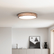 LED osvětlení s dálkový ovladačem Iron Oak, 60W, 4200lm, 51cm, změna chromatičnosti, stmívatelné