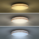 LED osvětlení s dálkový ovladačem Woody, 60W, 4200lm, 50cm, změna chromatičnosti, stmívatelné