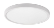 PAULOS LED stropní svítidlo 71073