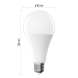 LED žárovka Classic A80 / E27 / 20 W (150 W) / 2452 lm / studená bílá