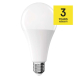 LED žárovka Classic A80 / E27 / 20 W (150 W) / 2452 lm / studená bílá