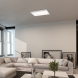 DAMEK2 LED stropní svítidlo 71077