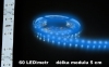 LED pásek 12V modrý IP65 bílé pozadí 120lm 5m