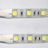 LED pásek 12V 60LED 5050 bílé pozadí bílá IP65